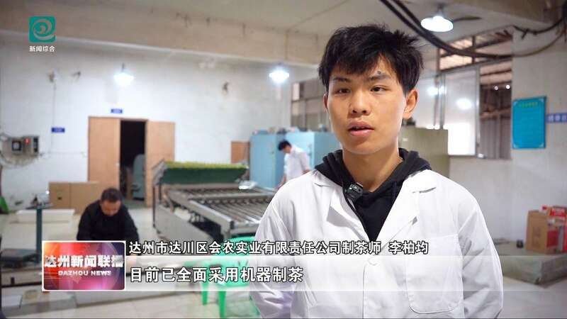 达州：春山吐翠茶飘香 漫山新茶采收忙