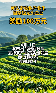 雅安茶产业新政策，最高奖励100万！