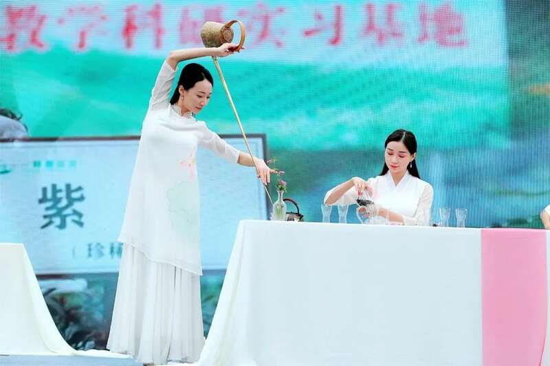 “紫”气东来！沐川紫茶盛宴即将启幕！