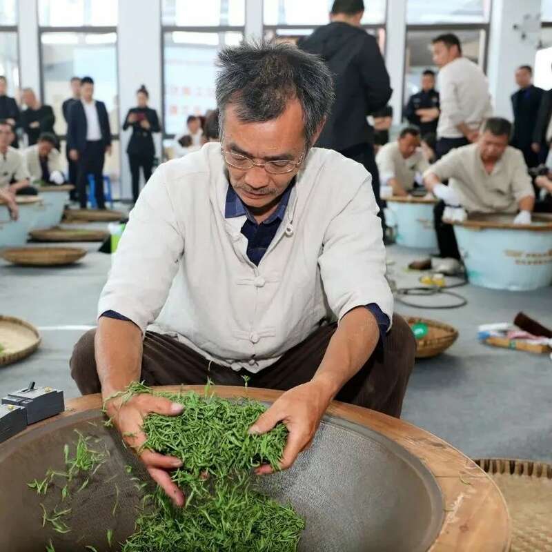 “紫”气东来！沐川紫茶盛宴即将启幕！