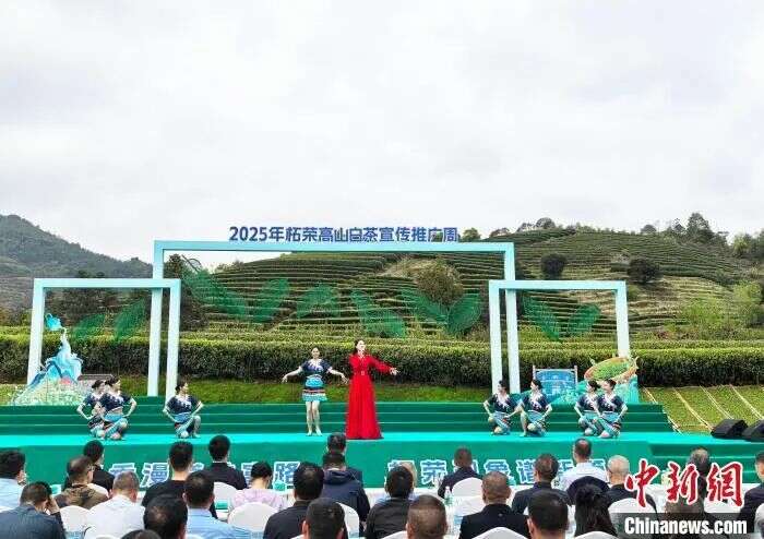 2025年柘荣高山白茶宣传推广周开幕式举办