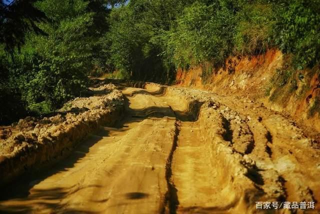 老班章普洱茶价格多少一饼？揭秘从默默无闻到茶界王者的传奇之路