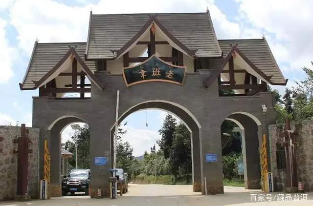 老班章普洱茶价格多少一饼？揭秘从默默无闻到茶界王者的传奇之路