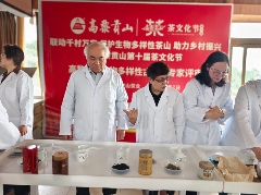 联动千村万寨、保护生物多样性茶山、助力乡村振兴暨高黎贡山第十届茶文化节盛大开幕！