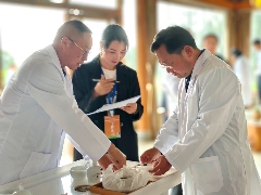 联动千村万寨、保护生物多样性茶山、助力乡村振兴暨高黎贡山第十届茶文化节盛大开幕！