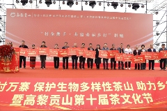 联动千村万寨、保护生物多样性茶山、助力乡村振兴暨高黎贡山第十届茶文化节盛大开幕！