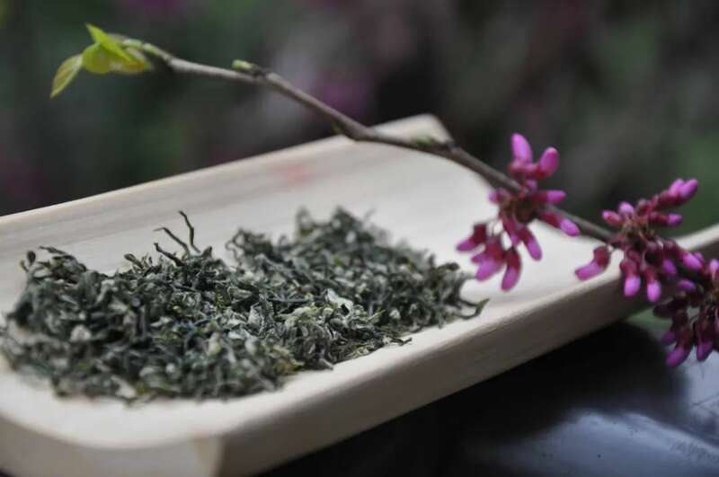 好魔幻！福建绿茶“挤”进前排，却在本省活成了小透明……