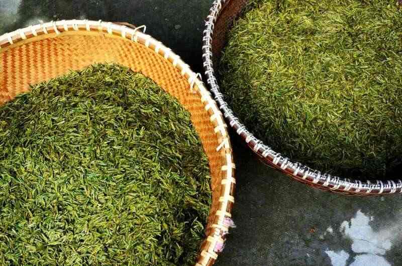 好魔幻！福建绿茶“挤”进前排，却在本省活成了小透明……