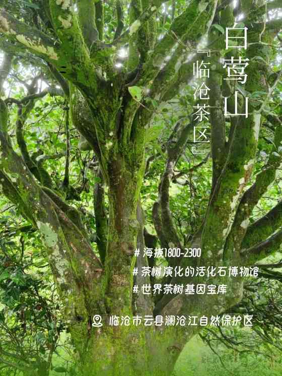 下关秘境白莺山龙珠 ​品味一山百味的白莺山魅力