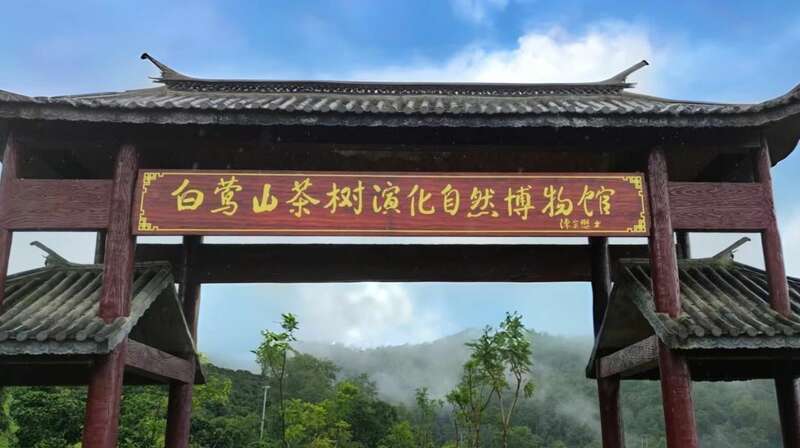 下关秘境白莺山龙珠 ​品味一山百味的白莺山魅力
