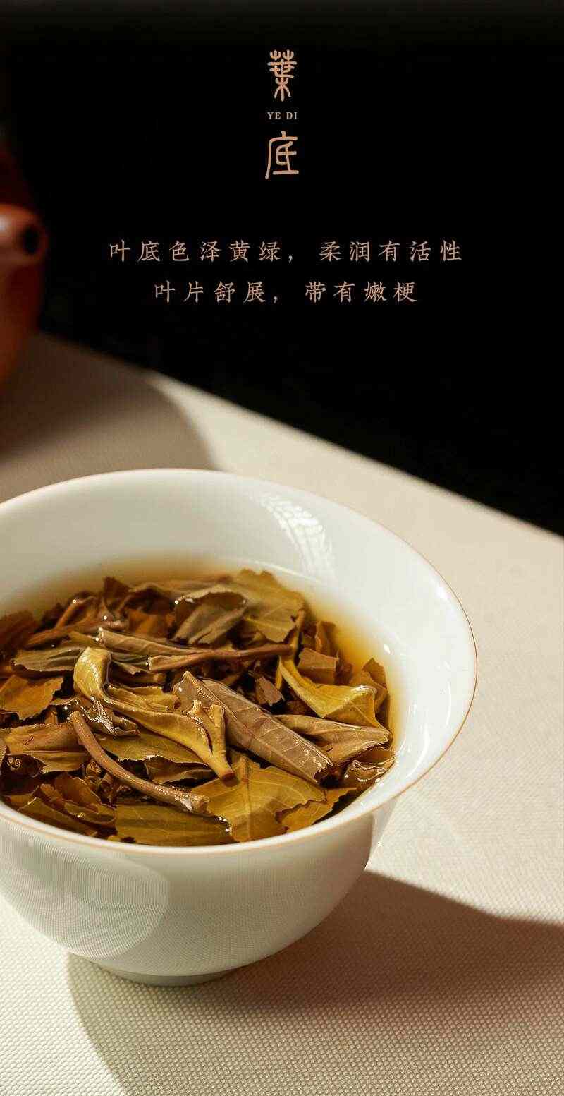 岁月铸味，玉叶成金 大益999克生茶厚砖岁月陈金开启质感好礼