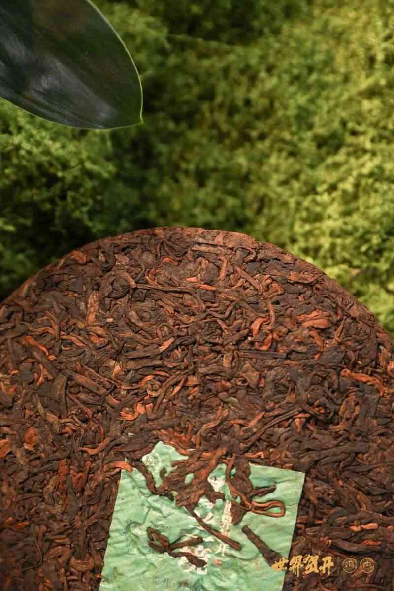 双境融合，六大茶山系列明星产品隆重呈市