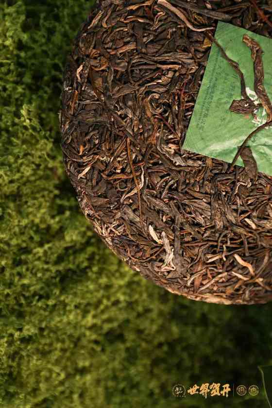 双境融合，六大茶山系列明星产品隆重呈市