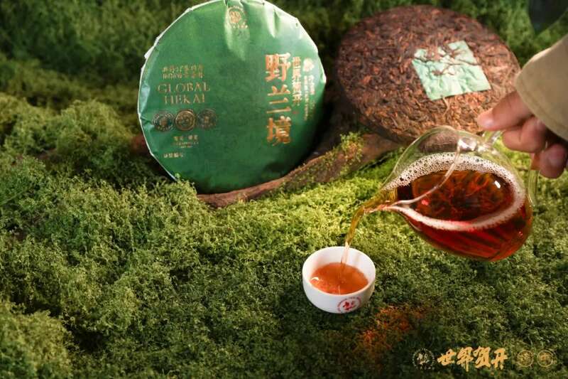 双境融合，六大茶山系列明星产品隆重呈市