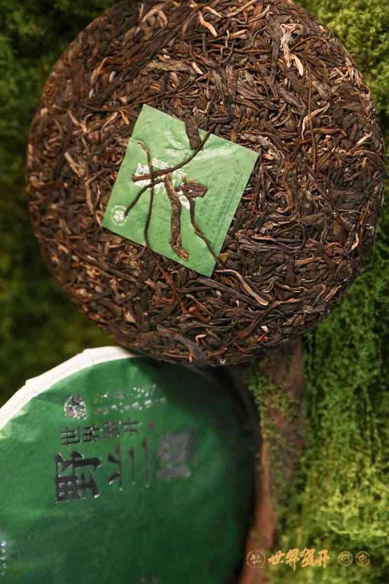 双境融合，六大茶山系列明星产品隆重呈市