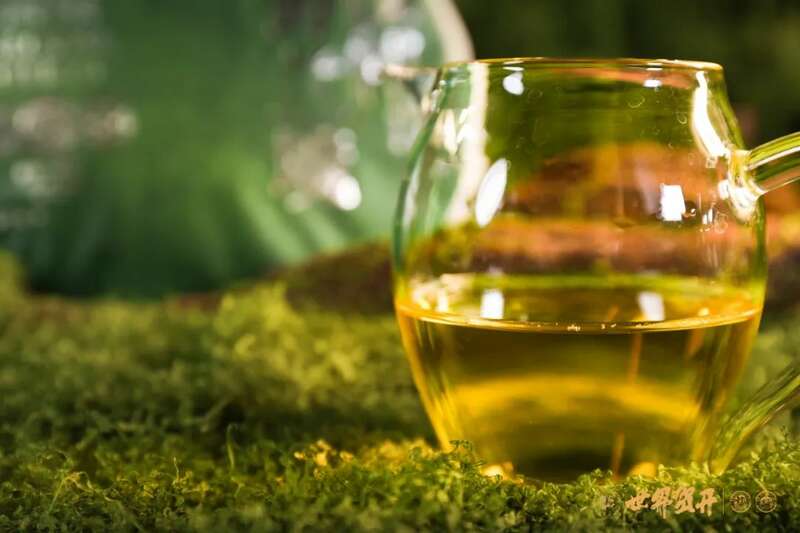 双境融合，六大茶山系列明星产品隆重呈市