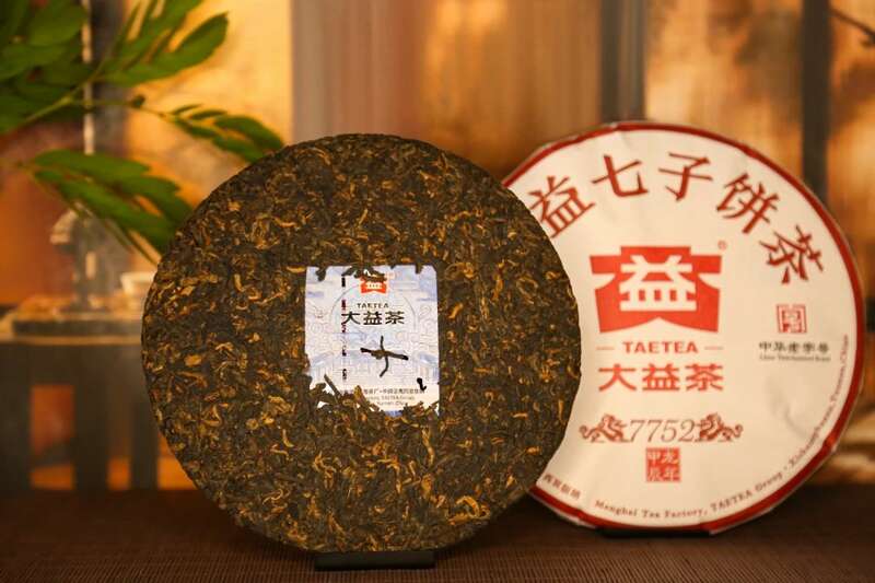 内行严选，醇养身心  一杯大益7752喝出健康轻盈好生活