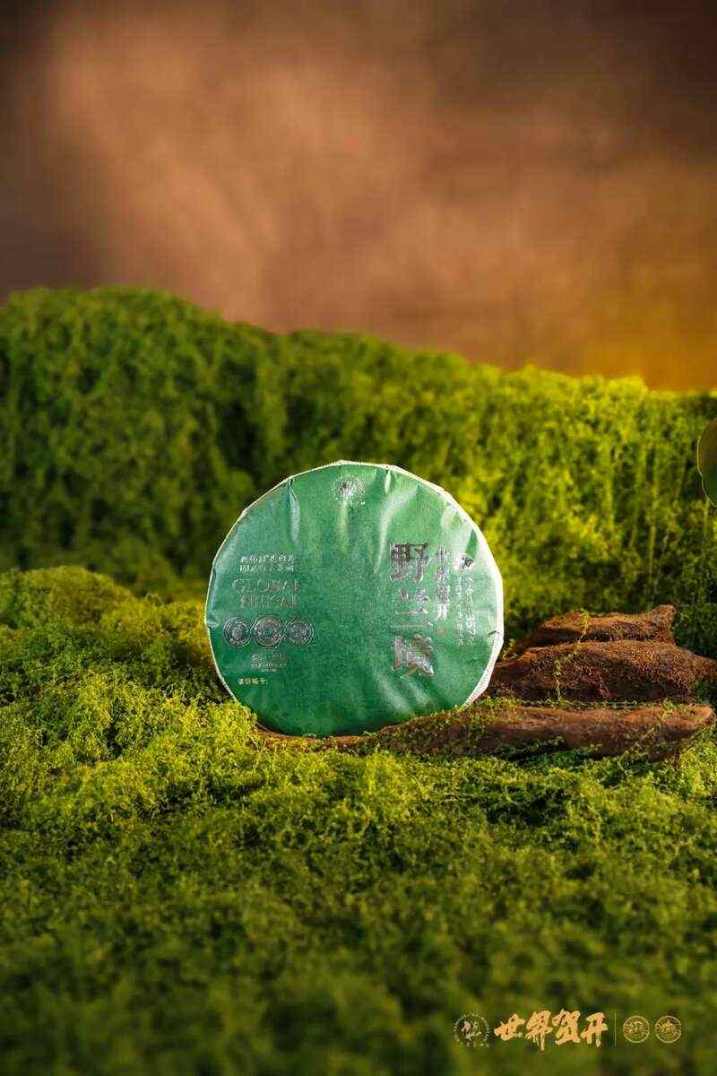 双境融合，六大茶山系列明星产品隆重呈市