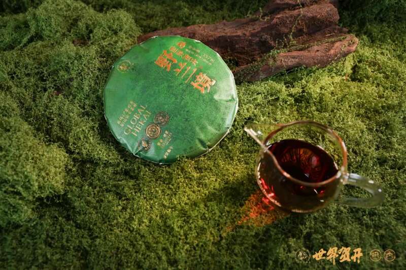 双境融合，六大茶山系列明星产品隆重呈市