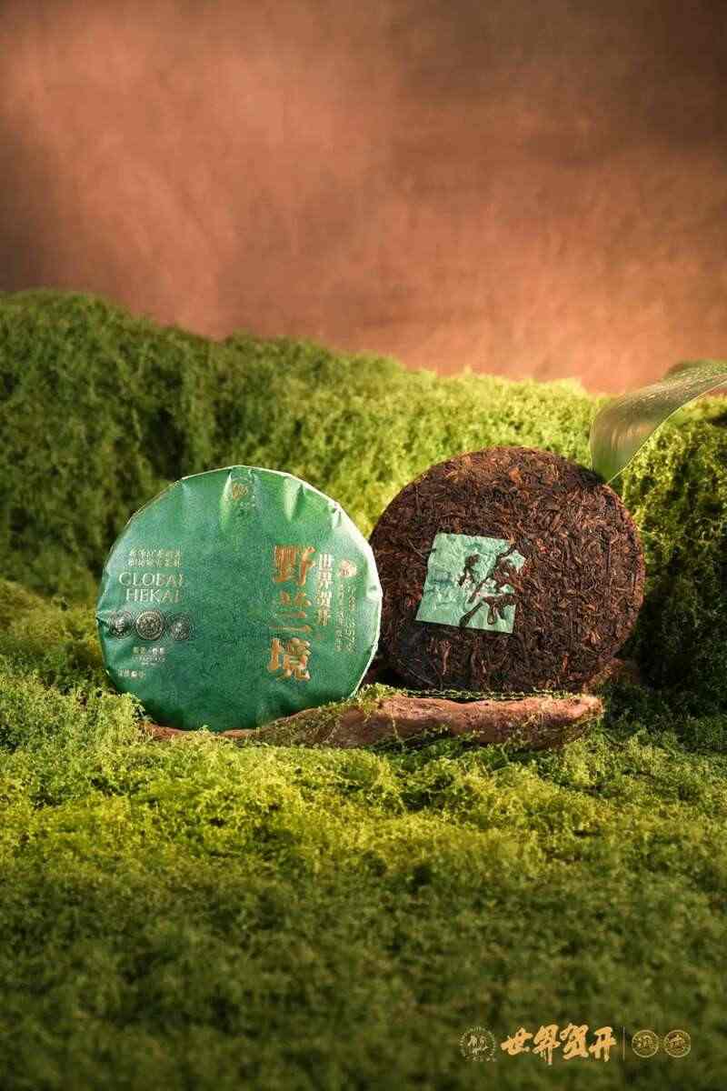 双境融合，六大茶山系列明星产品隆重呈市