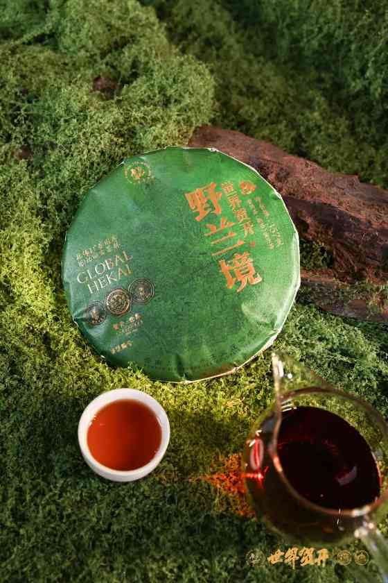 双境融合，六大茶山系列明星产品隆重呈市