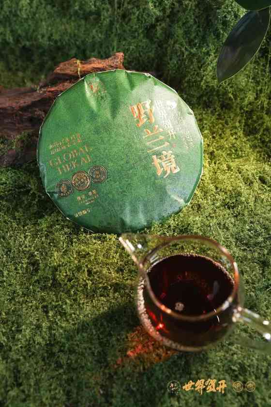 双境融合，六大茶山系列明星产品隆重呈市