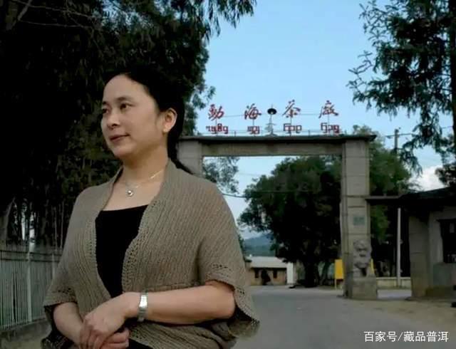 2004年班章野生茶深度解析，勐海茶厂厂长监制的经典中期茶品鉴