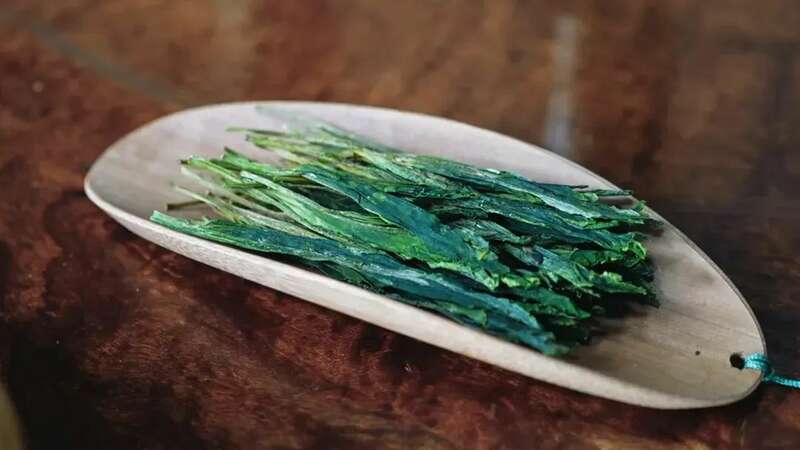 在黄山，看传统茶产业如何“老树”发“新芽”？