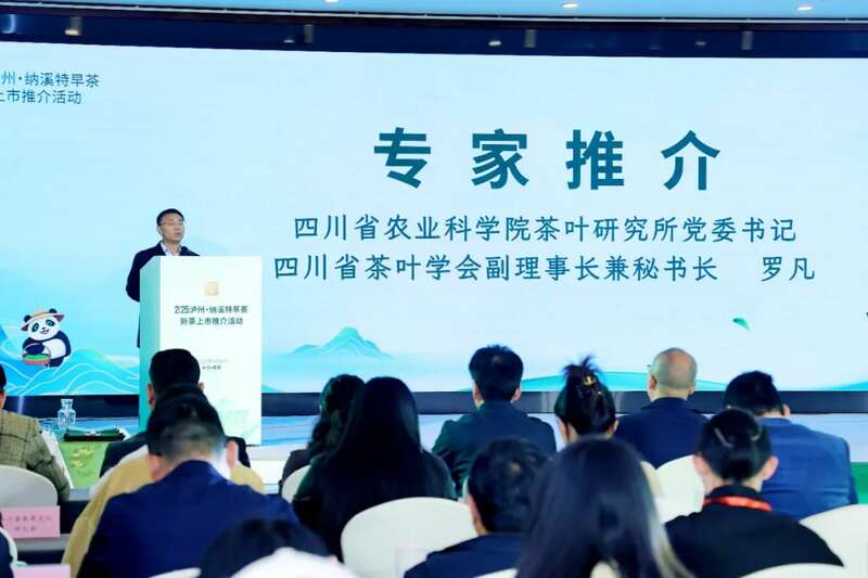 全国客商云集成都，共品中国春天的第一杯茶：纳溪特早茶