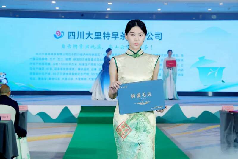 全国客商云集成都，共品中国春天的第一杯茶：纳溪特早茶