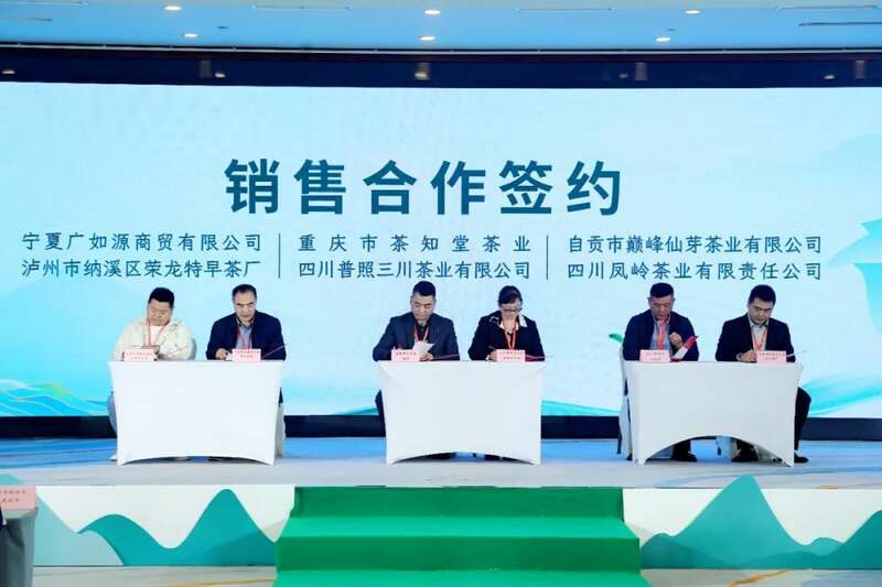 全国客商云集成都，共品中国春天的第一杯茶：纳溪特早茶