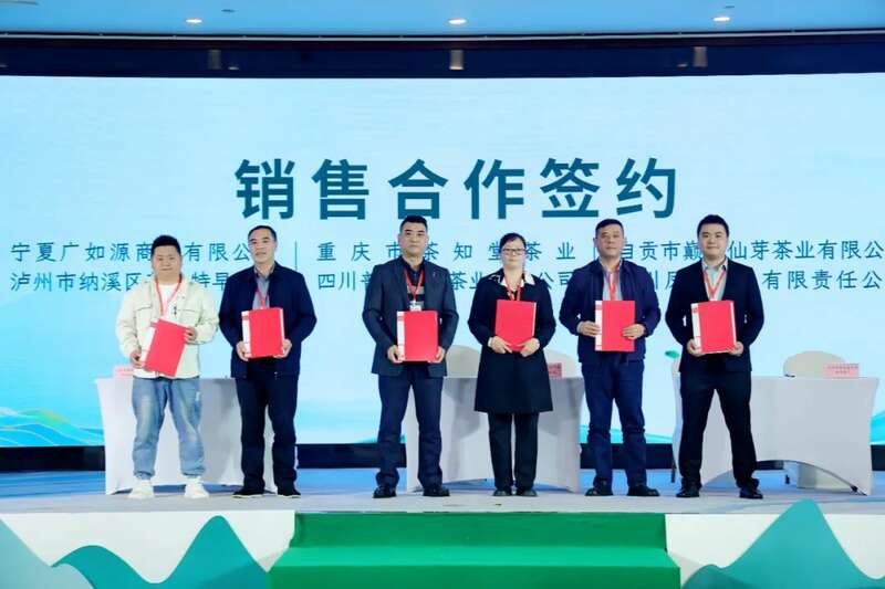 全国客商云集成都，共品中国春天的第一杯茶：纳溪特早茶