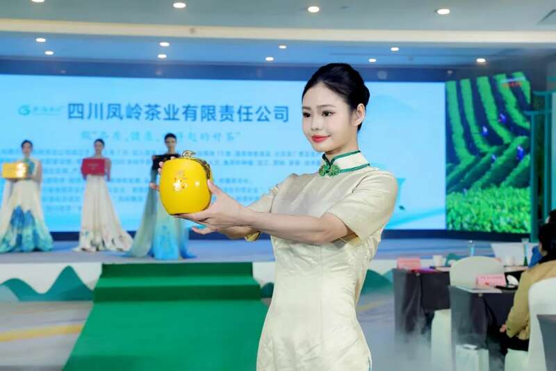 全国客商云集成都，共品中国春天的第一杯茶：纳溪特早茶