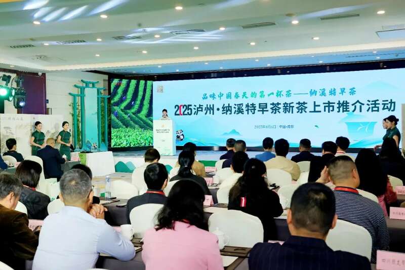 全国客商云集成都，共品中国春天的第一杯茶：纳溪特早茶