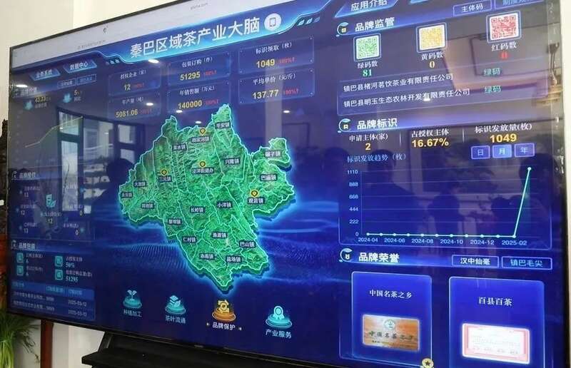 一码溯源，镇巴茶有了“数字身份证”