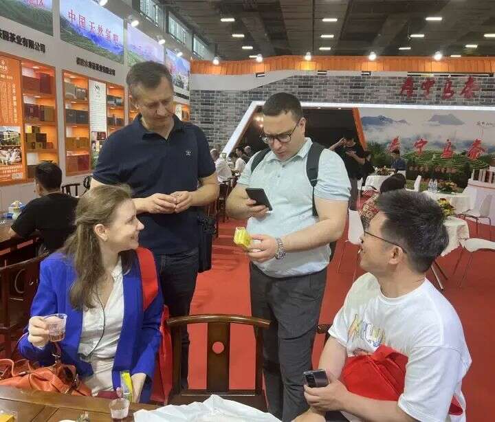 寿宁：茶香漫寿邑，新绿吐芬芳