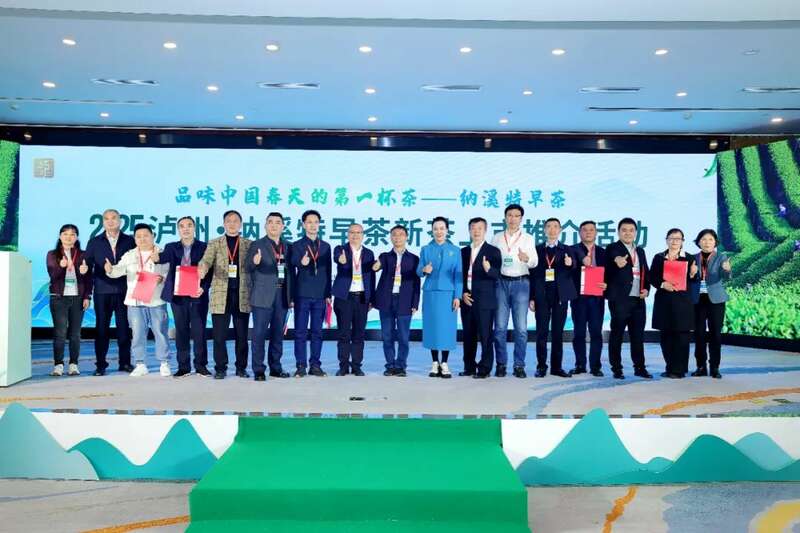 全国客商云集成都，共品中国春天的第一杯茶：纳溪特早茶