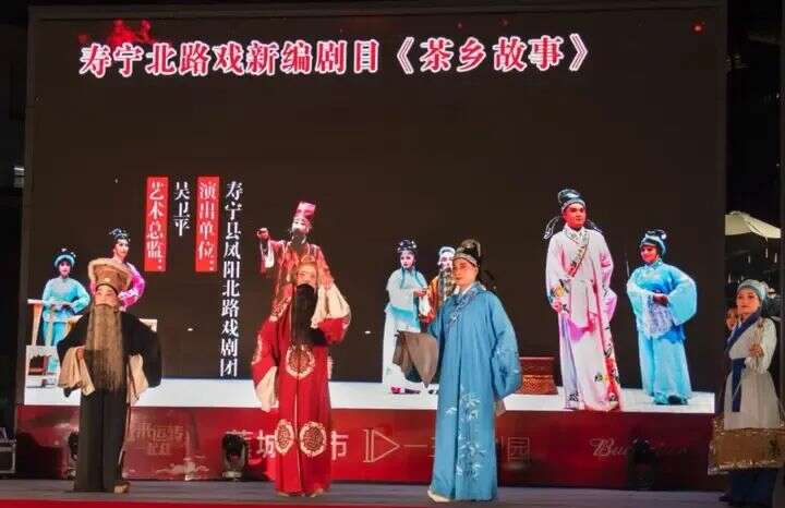 寿宁：茶香漫寿邑，新绿吐芬芳