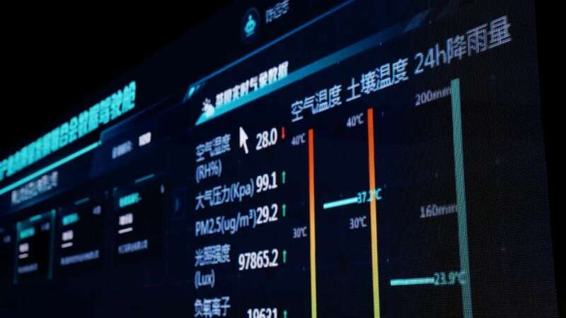 一叶一码见真心，数字技术守茶香 新质生产力如何赋能太平猴魁