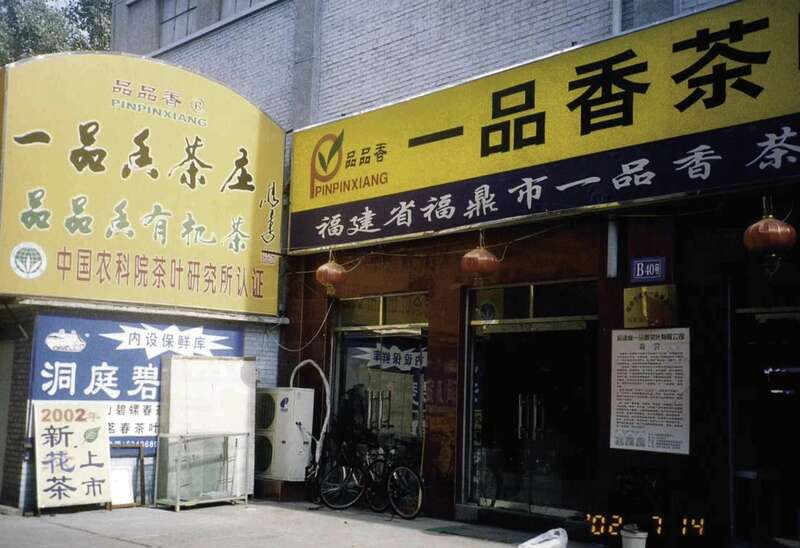 活态非遗传承！解锁福鼎白茶品牌化发展新路径！