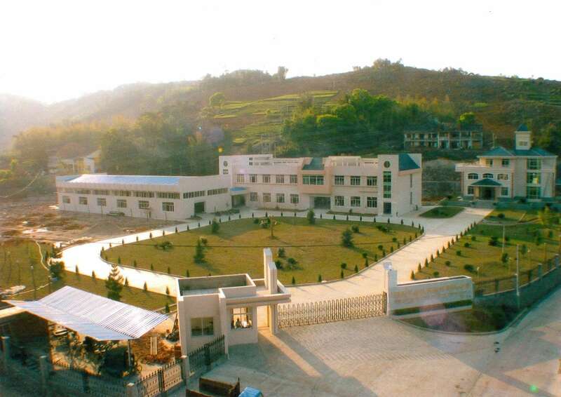 活态非遗传承！解锁福鼎白茶品牌化发展新路径！