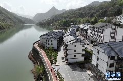 茶乡紫阳：科技巧赋能 绿叶变“金叶”