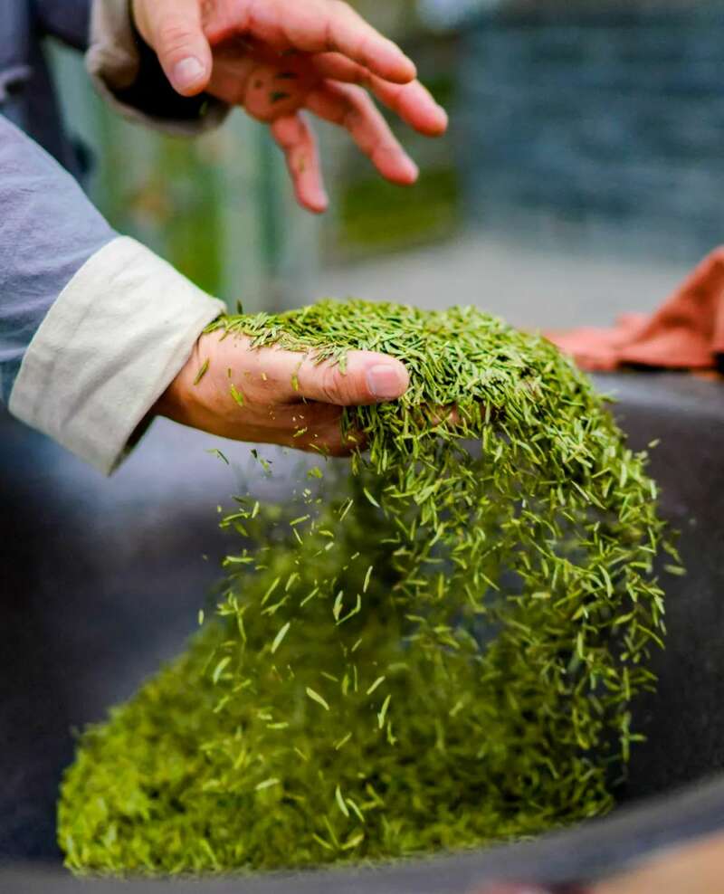 2025泸州·纳溪特早茶成都双会场盛典将于4月6日启幕