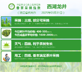 2025春茶季：六安瓜片开采