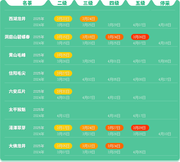 2025春茶季：六安瓜片开采