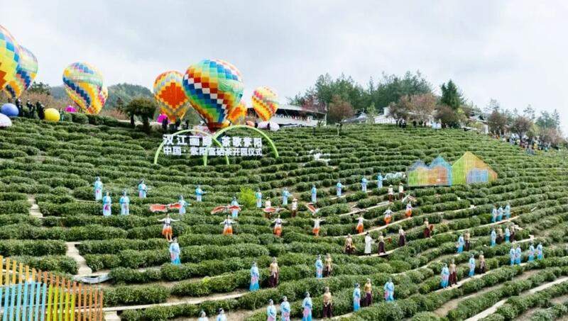 陕西紫阳26万亩富硒茶开园