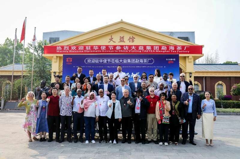 18国使节走进大益  共植友谊茶园，解码“茶香外交”的中国式浪漫