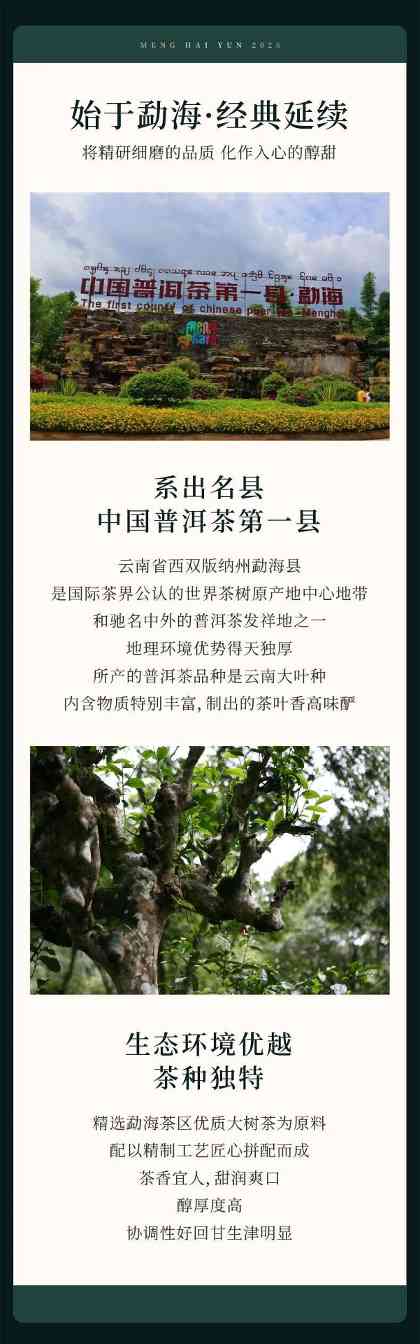 匠心品质 再续经典  2025年正皓勐海韵正式上市！