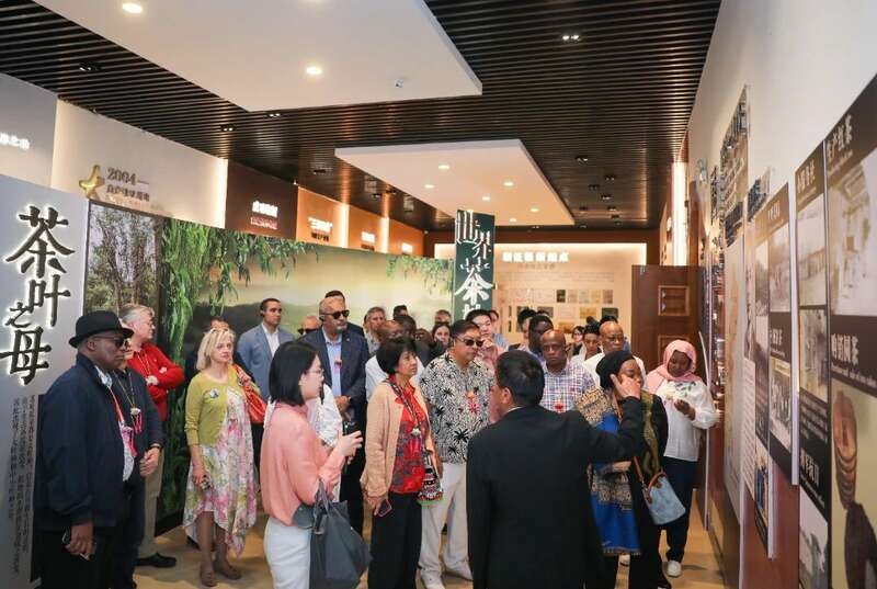 18国使节走进大益  共植友谊茶园，解码“茶香外交”的中国式浪漫