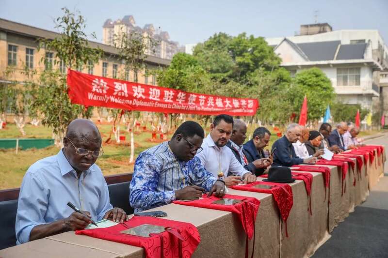 18国使节走进大益  共植友谊茶园，解码“茶香外交”的中国式浪漫